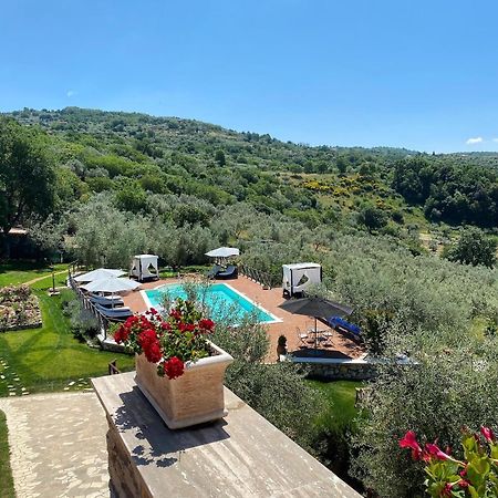 Casale San Pietro Bed and Breakfast Anagni Eksteriør billede