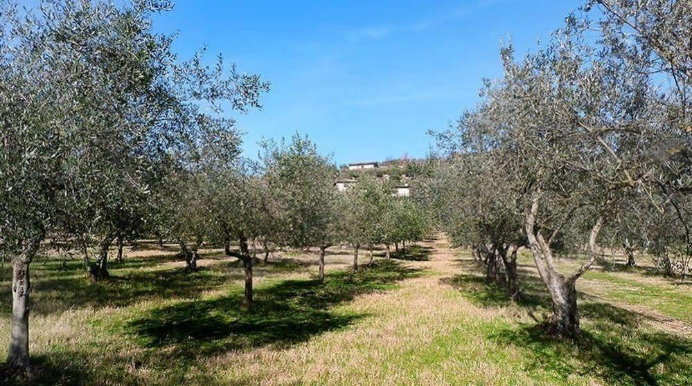Casale San Pietro Bed and Breakfast Anagni Eksteriør billede